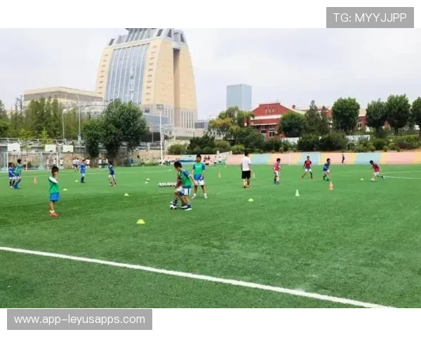 大连梯队青训排名提升，区域青训生态改善明显