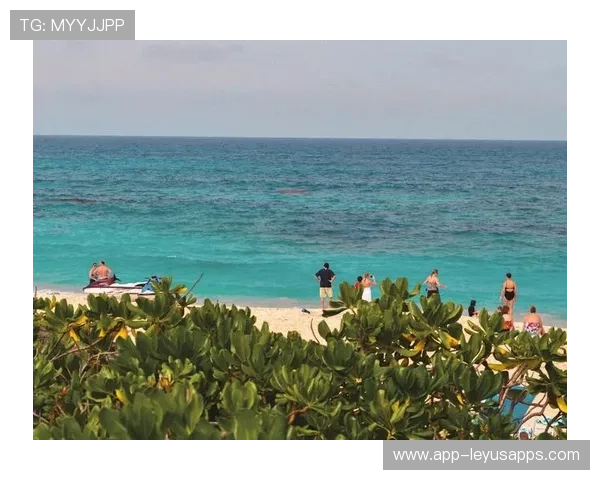 巴哈马美湾帆船赛创历史新高，巴哈马海域