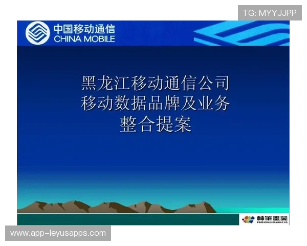 综合赛事品牌建设及推广策略案例分析(291 ) 综合赛事品牌建设及推广策略案例分析(291 )